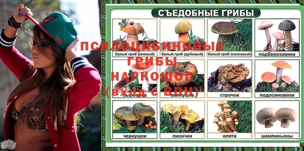 mdpv Балахна
