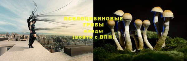 экстази Баксан